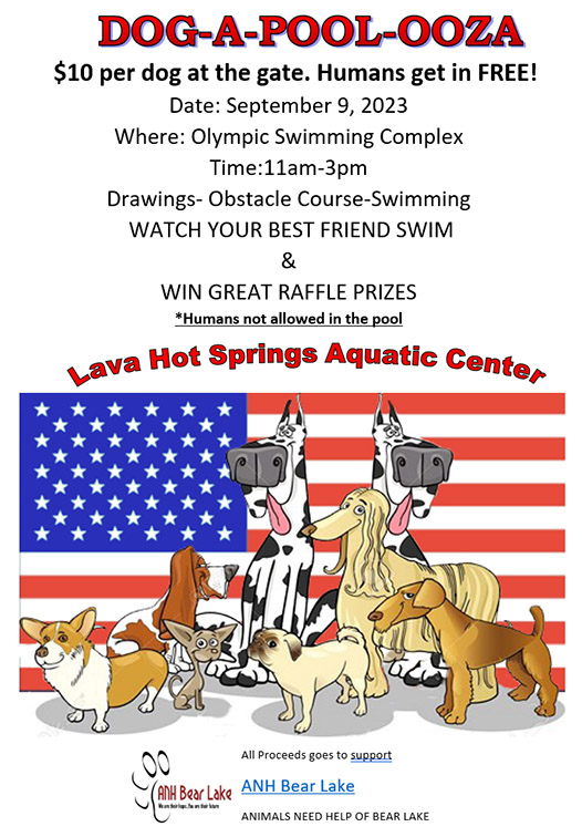 DOG-A-POOL-OOZA swim for dogs in Lava Hot Springs Idaho