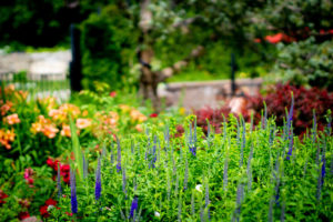 Flowers in Lava Hot Springs Sunken Gardens